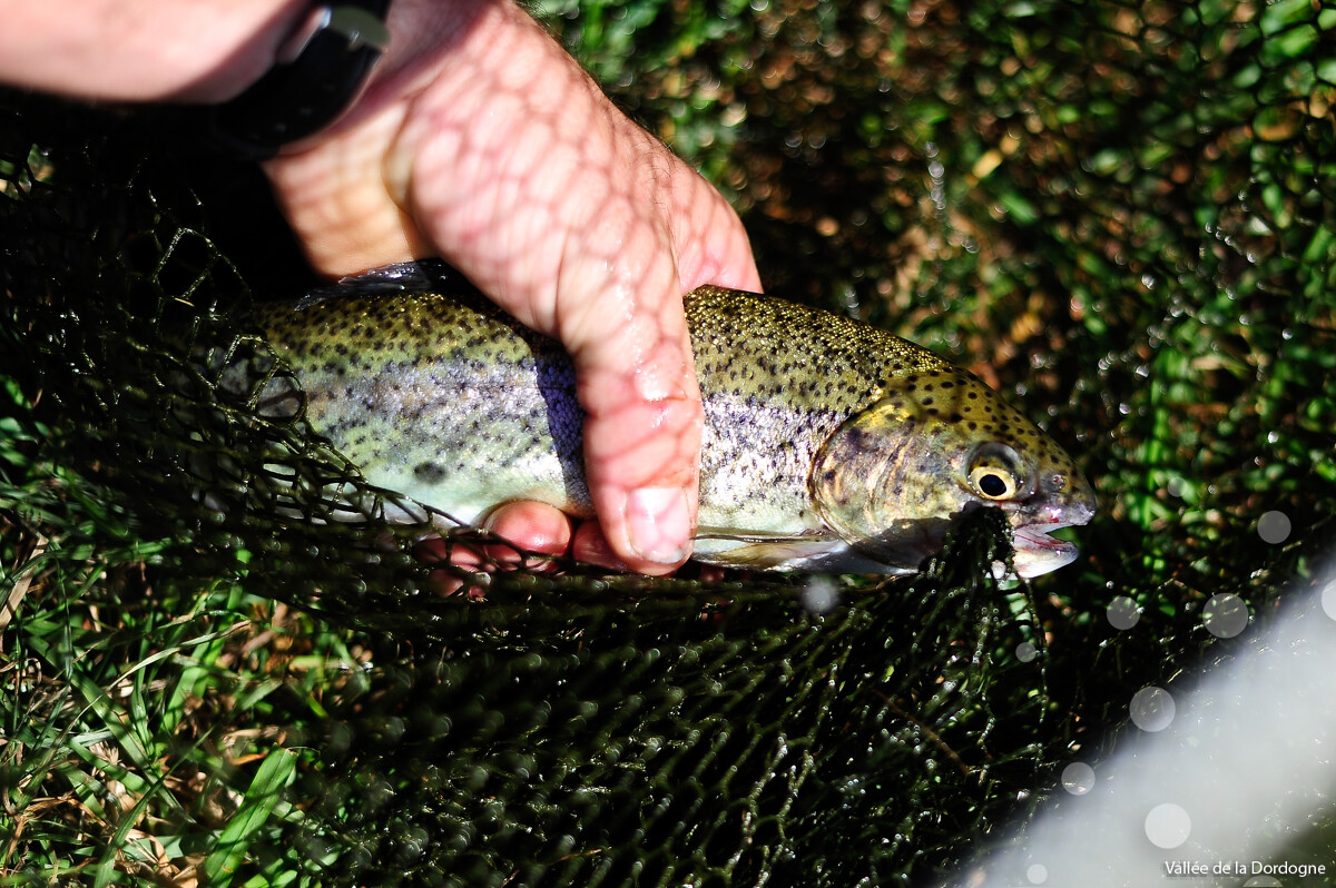 Concours de Pêche au profit du Téléthon Alvignac