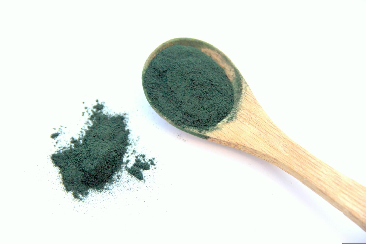Conférence de Pierre Ancel La spiruline à l&rsquo;origine de la vie  Marminiac