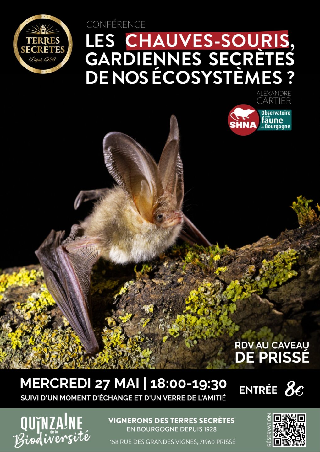 Conférence les chauves-souris, gardiennes secrètes de nos écosystèmes. Vignerons des Terres Secrètes Prissé
