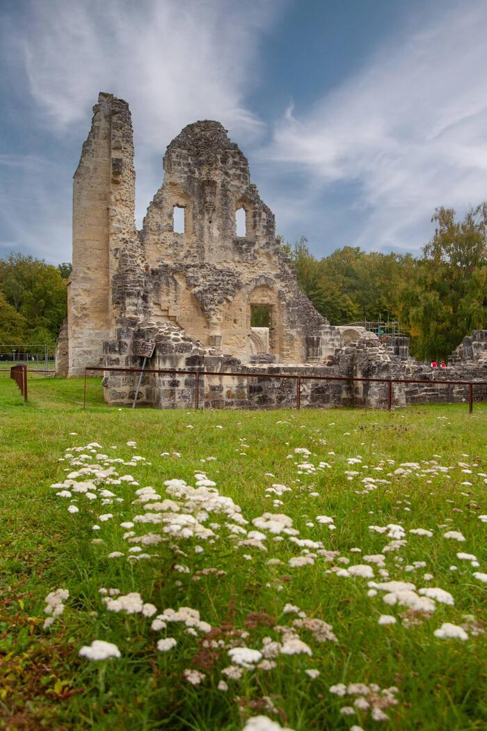 Conférence: Nouvelles recherches archéologiques sur l'abbaye de Vauclair Pavillon de Vauclair Bouconville-Vauclair