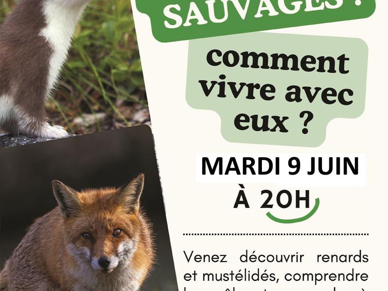Conférence petits prédateurs sauvages Salle de l’Espée Charmes