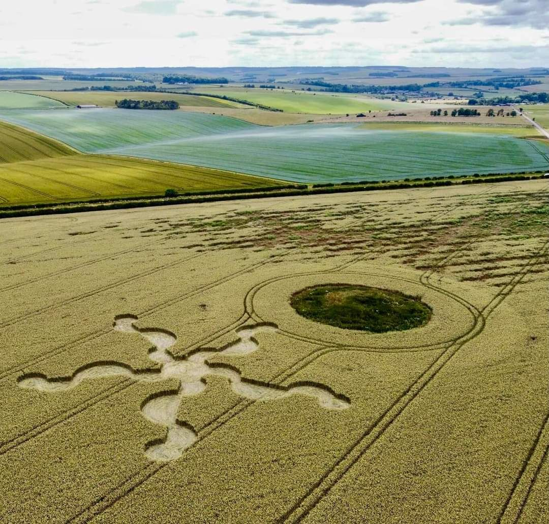 Conférence sur les agroglyphes site ecomusée lieu-dit Juillé Saulgé 2026-06-27