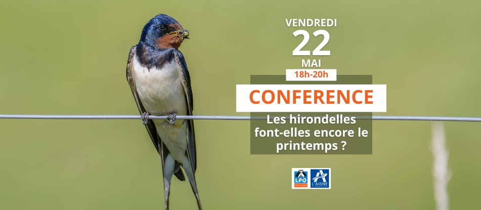 Conférence sur les hirondelles à Geodomia ! 33 Rue des Victimes de Comportet Merlieux-et-Fouquerolles 2026-05-22