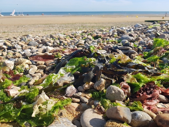 Contes d’une plage vivante, Poste de secours, Bernières-sur-Mer