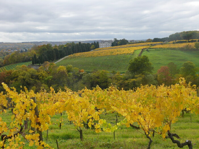 Coulée de Serrant, Coulee de Serrant, 49170 Savennieres, Épiré