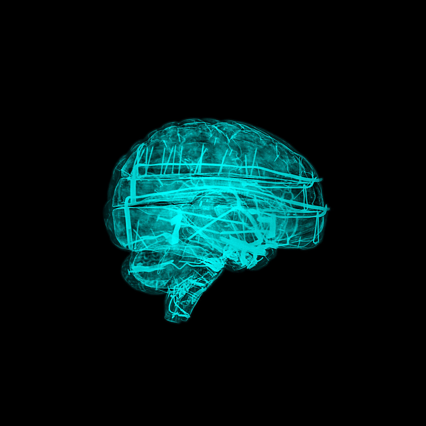 Dans le cerveau du Dr Auzoux de Fred Murie et Flavien Théry