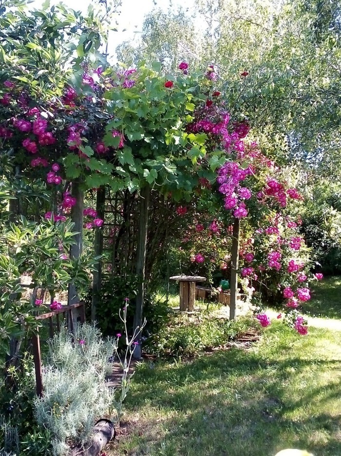 Déambulation à La Forge Fleurie, La Forge Fleurie, Val en Vignes