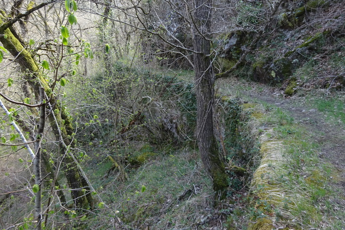 Découverte de l'aqueduc de Lavaudieu à Brioude Parking du centre historique. Brioude