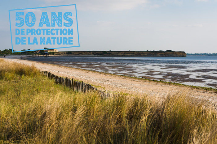 Découverte des oiseaux et d’une cabane ostréicole, Réserve naturelle nationale de la baie et du marais d’Yves, Yves