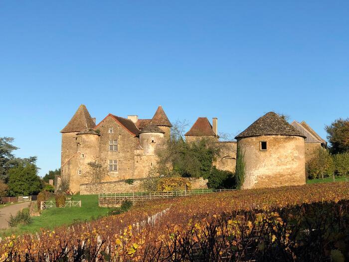 Découverte du château Pontus de Tyard à Bissy-sur-Fley, Château Pontus, Bissy-sur-Fley
