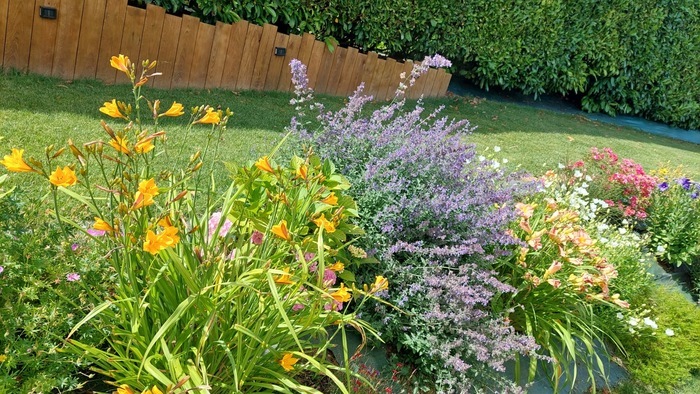 Découverte du Jardin des rêveurs Jardin des rêveurs Arronville