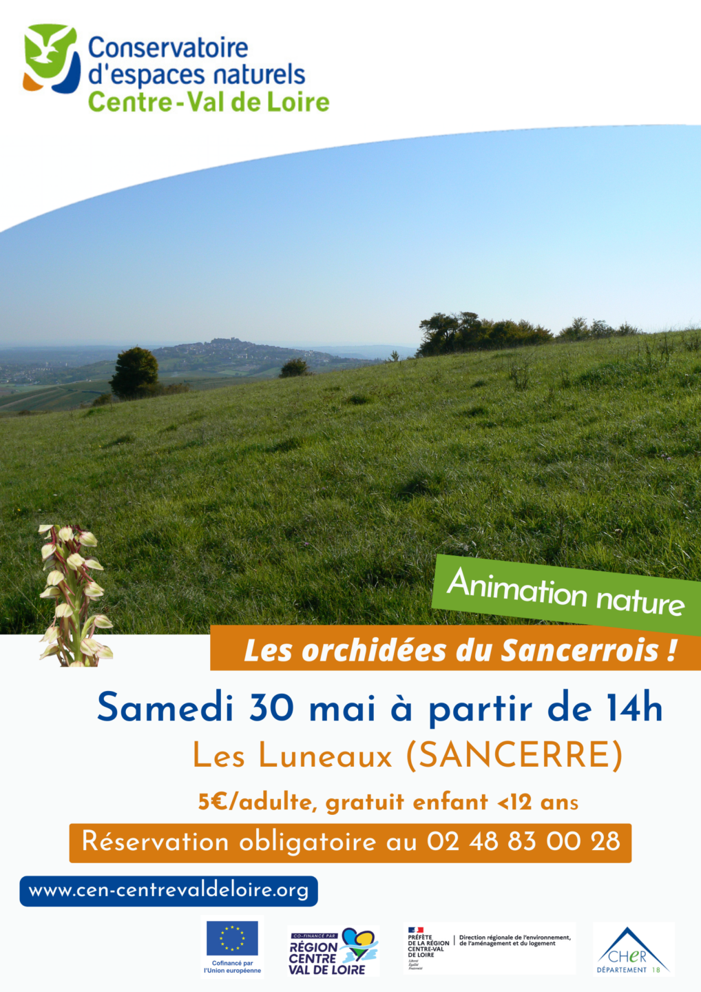 [DECOUVERTE NATURE] Les Orchidées du Sancerrois  Sancerre