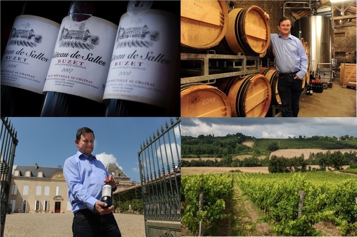 Dégustation de vins de Buzet et visite des chais, Château de Salles, Limon