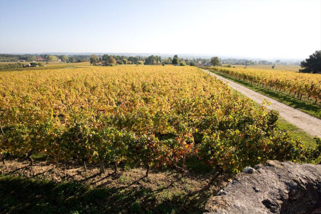 Dégustation gourmande | Domaine du Haut Pécharmant  Bergerac