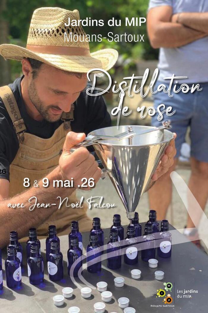 Distillation de rose avec Jean-Noël Falcou les jardins du musée international de la parfumerie Mouans-Sartoux