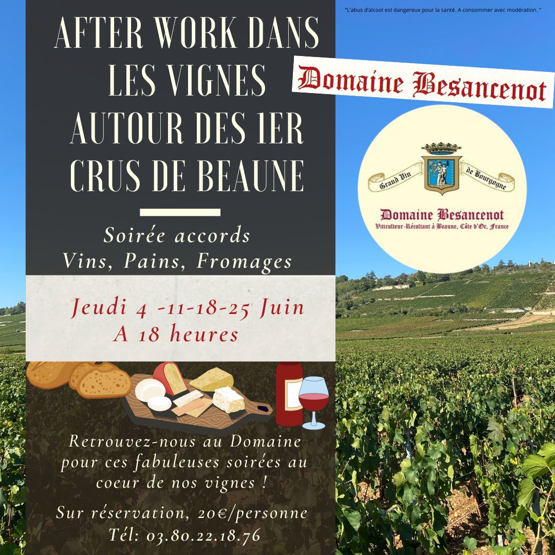 Domaine Besancenot After work dans les vignes de Beaune 78 Rue du Faubourg Saint-Nicolas Beaune 2026-06-04
