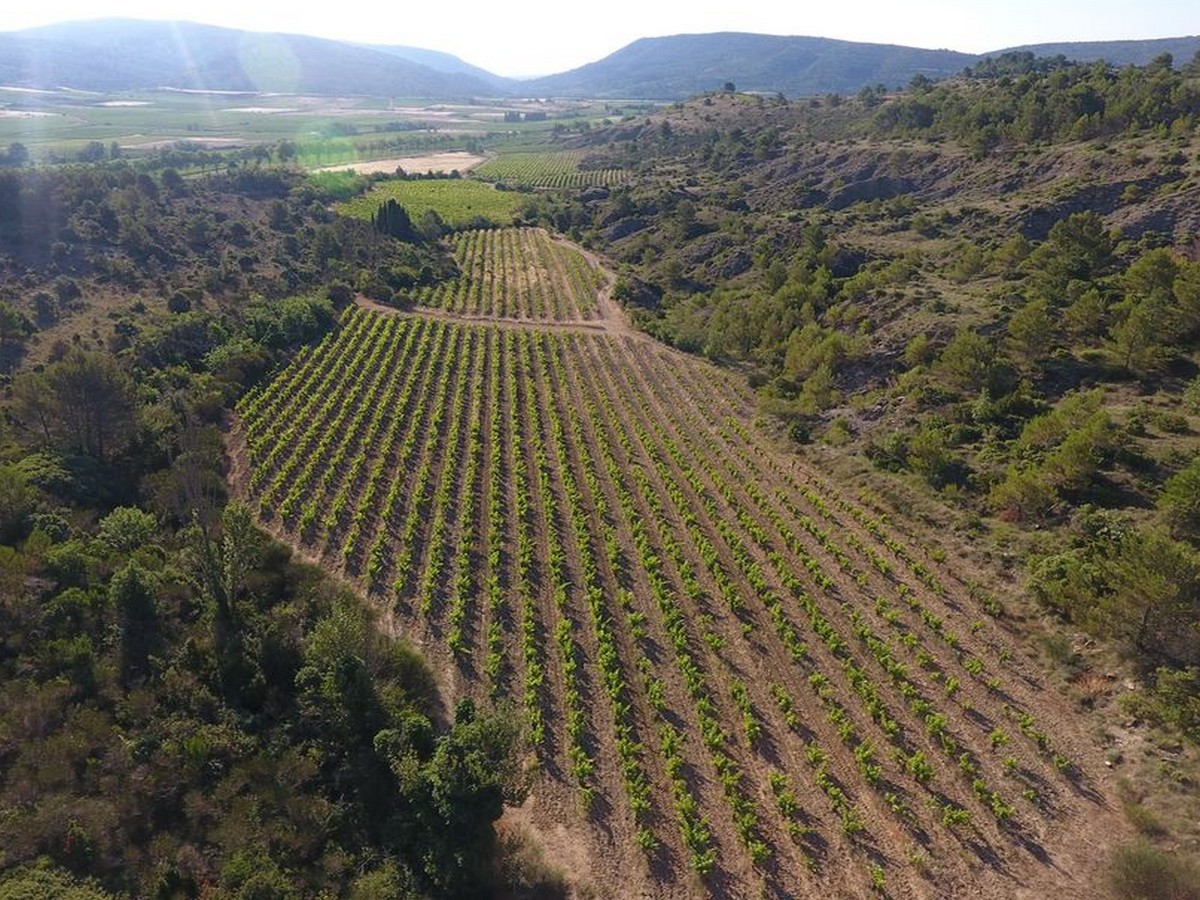 DOMAINE VINÉA ADRIAN DE FERME EN FERME EN VAL DE DAGNE Val-de-Dagne