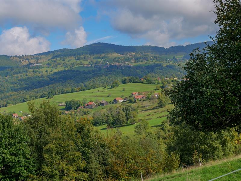 Du paysage vu au paysage dégusté... du champ à l'assiette à la ferme-auberge du Ban de la Roche 66 rue Principale Bellefosse 2026-06-05