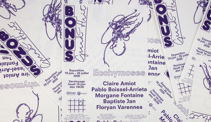 Ecchymoses, une exposition collective de Claire Amiot, Pablo Boissel-Arrieta, Morgane Fontaine, Baptiste Jan & Floryan Varennes Grand Huit – Collectif Bonus Nantes