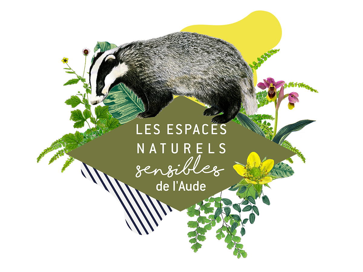 ENS EMPREINTES ET INDICES LES SECRETS DE LA FORÊT  Fourtou 2026-09-19