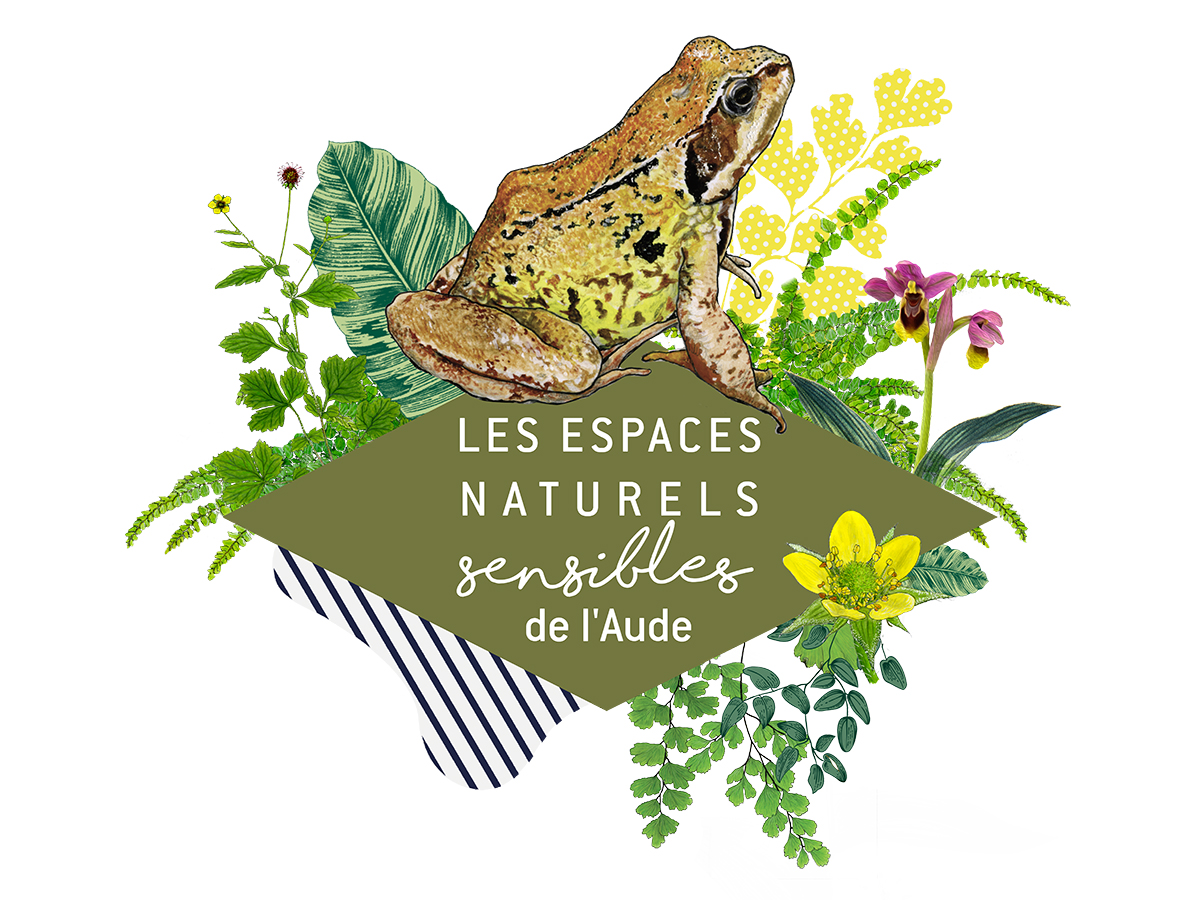 ENS LA VIE CACHÉE DU LAC DE LAPRADE BASSE Cuxac-Cabardès 2026-07-15
