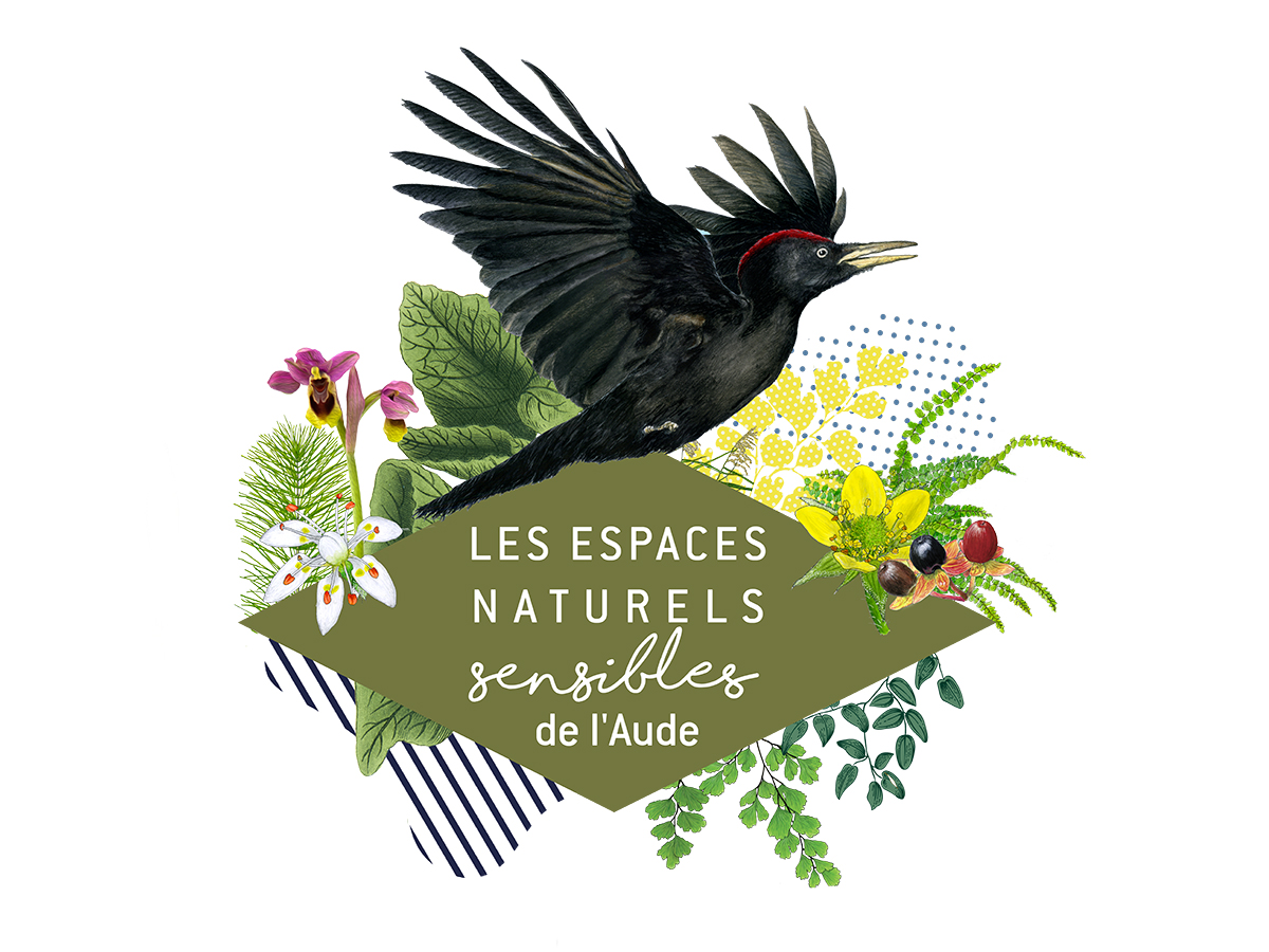 ENS LEVEZ LE NEZ