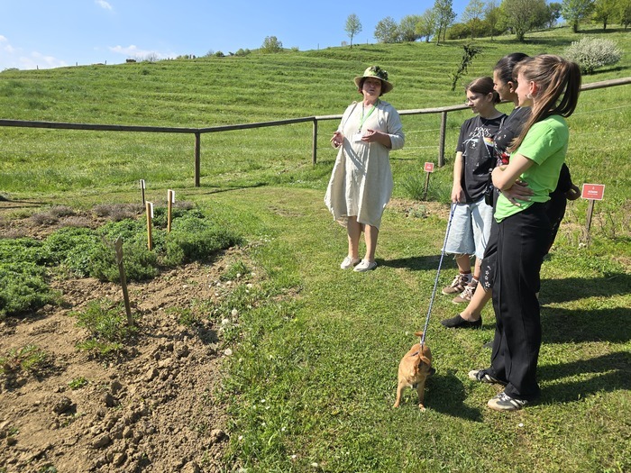 Entre les jardins d'herbes aromatiques et le point de vue Rogatec Rogatec