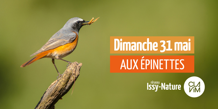 Épinettes : comptage national Oiseaux des jardins, Maison des Épinettes, Issy-les-Moulineaux
