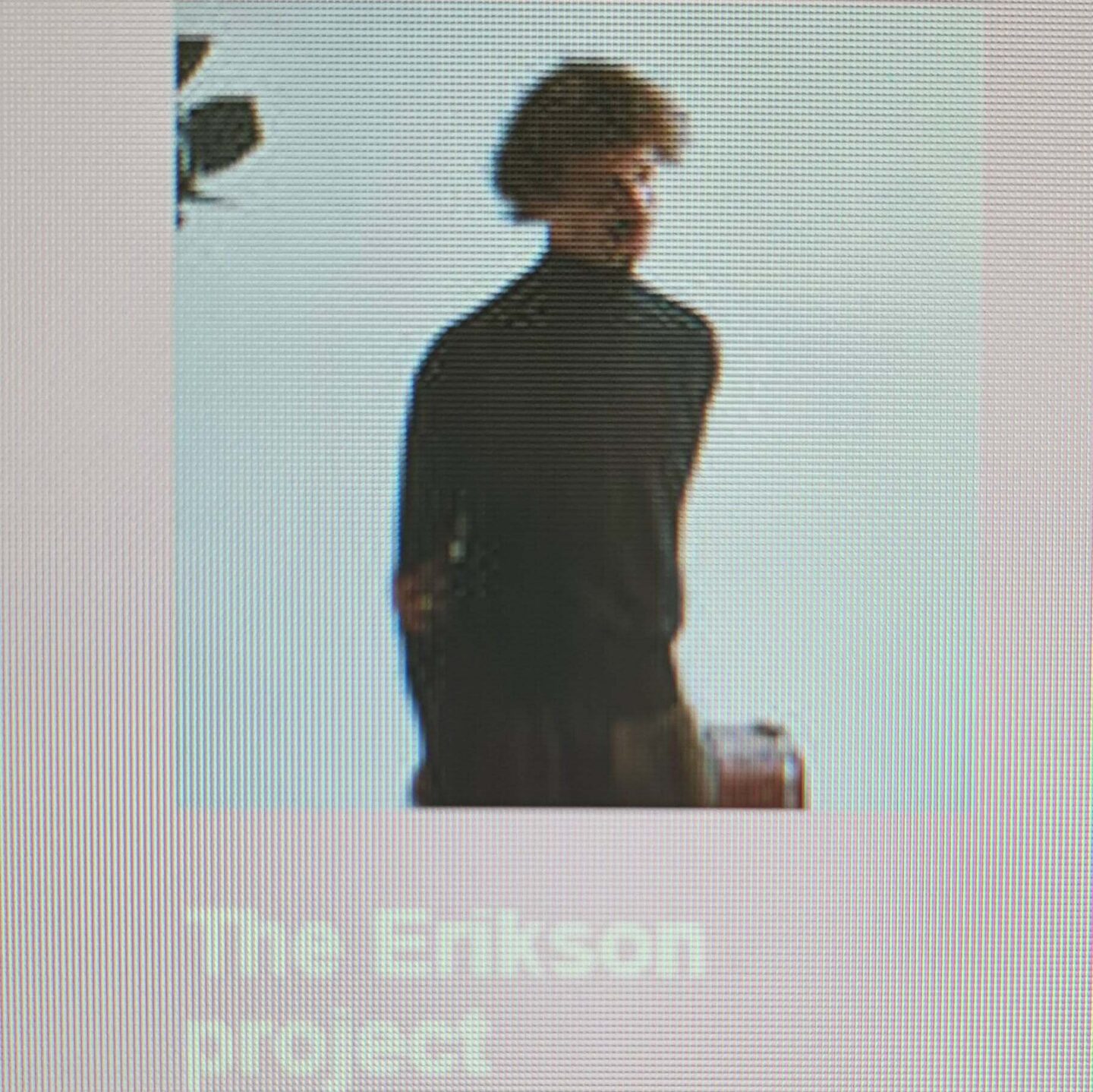 The Erikson Project et Odoneila