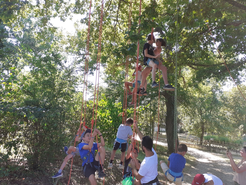 Eté Actif grimpe d’arbres Montpon-Ménestérol