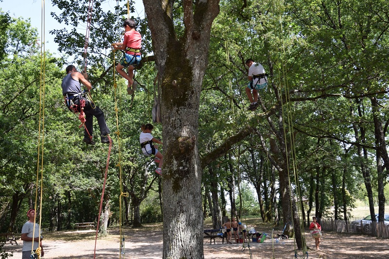 Été actif Grimpe d’arbres Parc des Cèdres Pays de Belvès