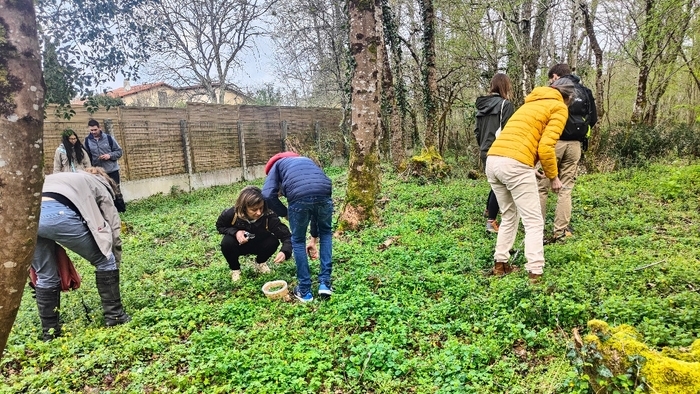 Explorer les plantes sauvages comestibles : reconnaître, cueillir, savourer
avec Nos Deux Mains, Maison écocitoyenne, Bordeaux