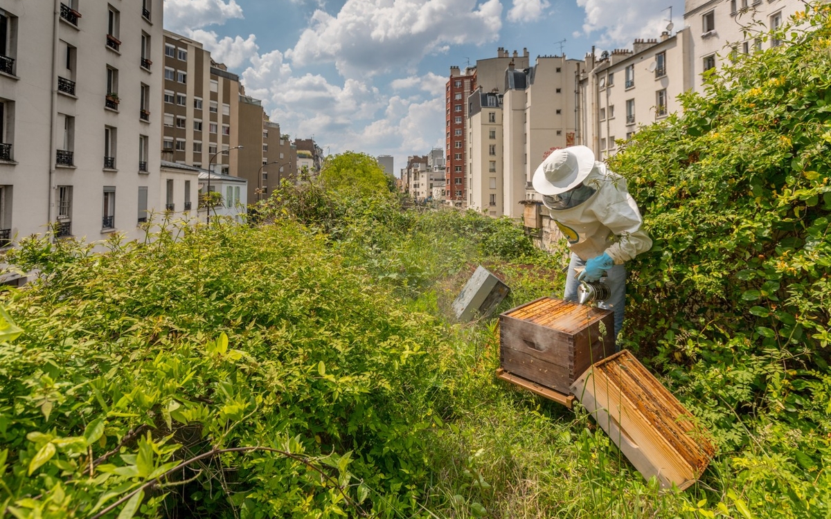 Expo « Abeille en Ville » Bercy Encore paris