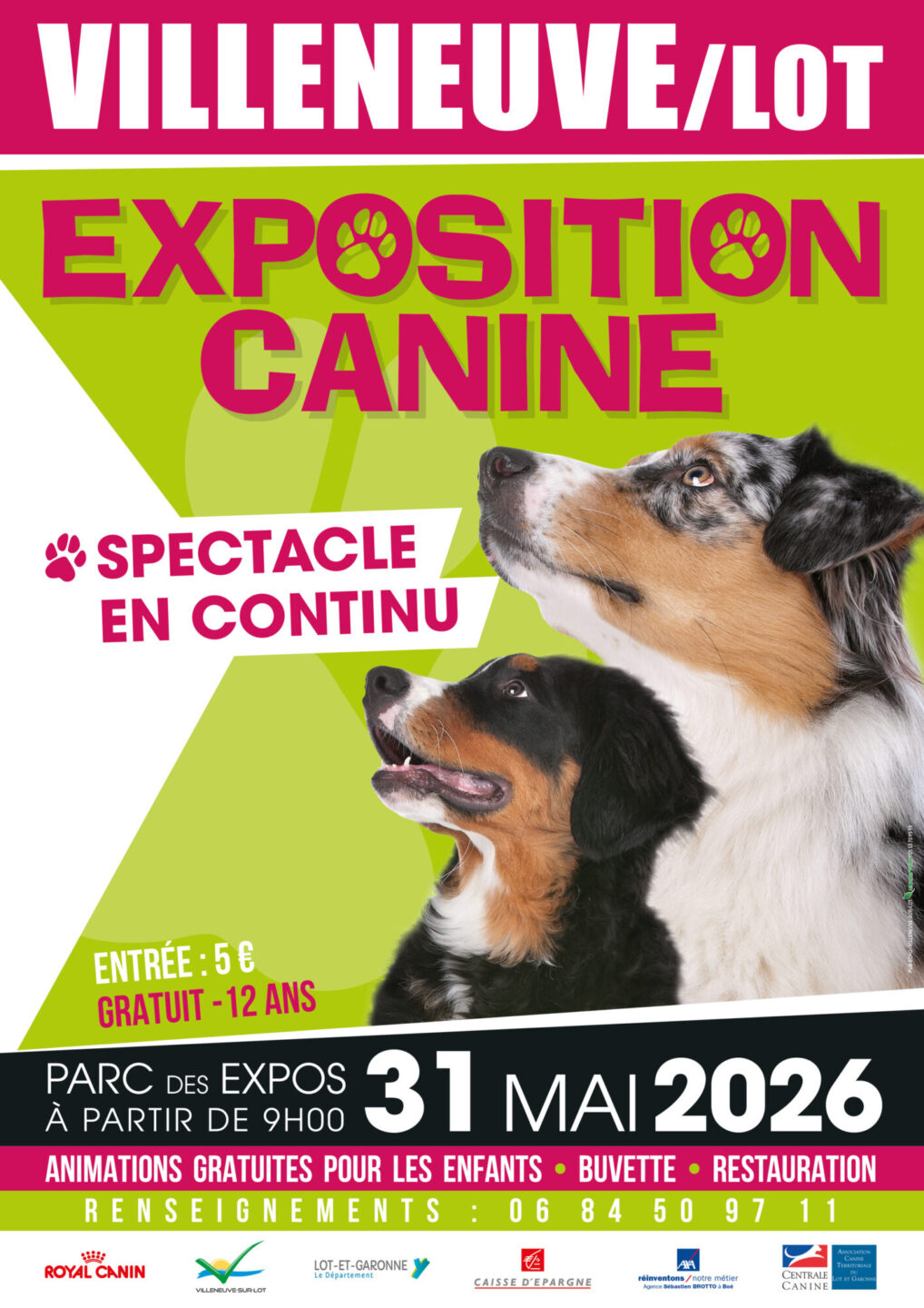 Exposition canine Parc des expositions Villeneuve-sur-Lot