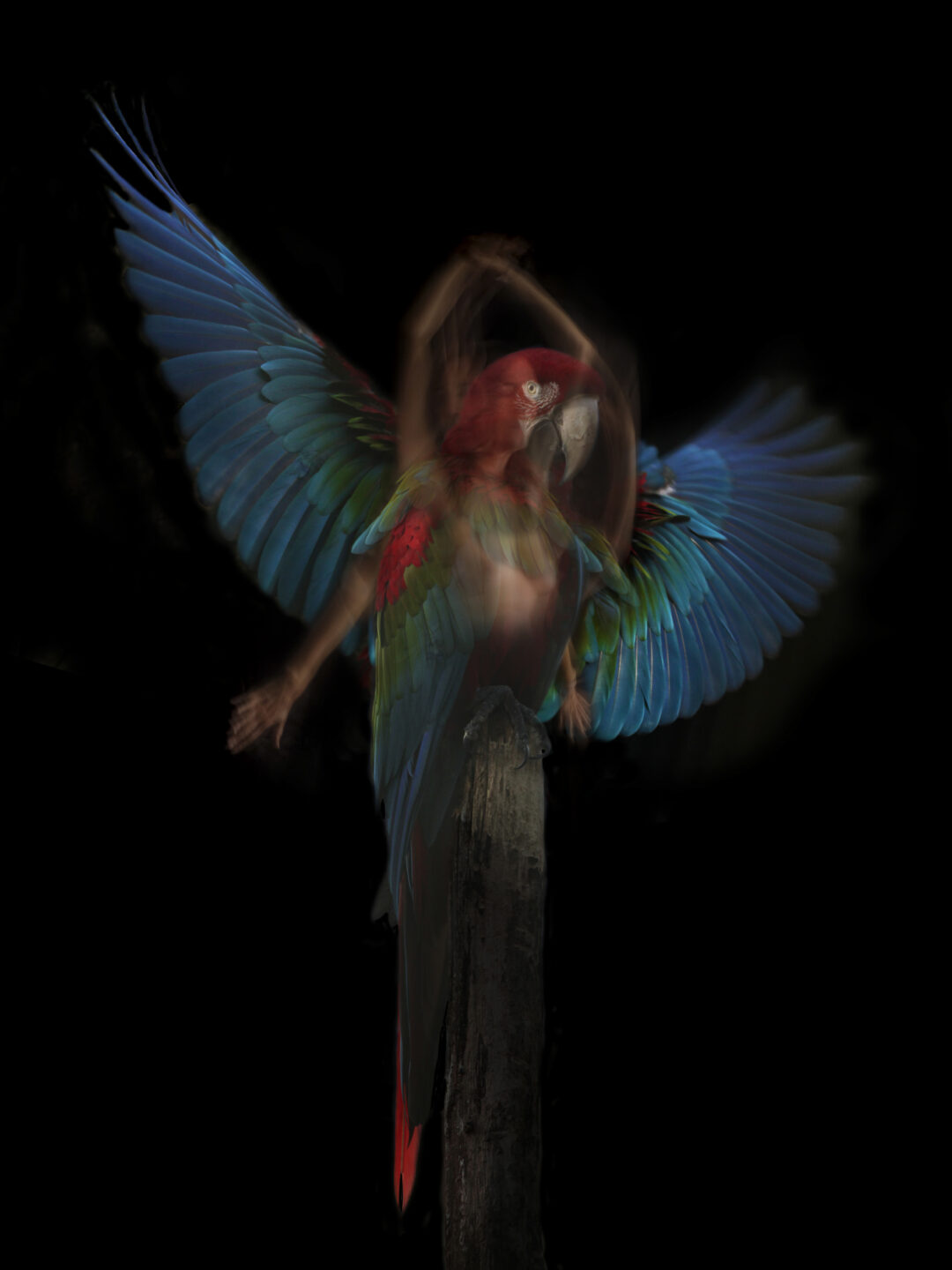 Exposition de photographies de Sandie Louit Galerie Pili Tafernaberry Bidart 2026-08-24