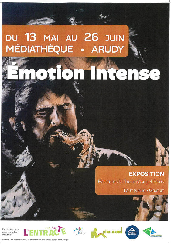 Exposition Émotions intenses Angel Pons Place de l’Hôtel de ville Arudy