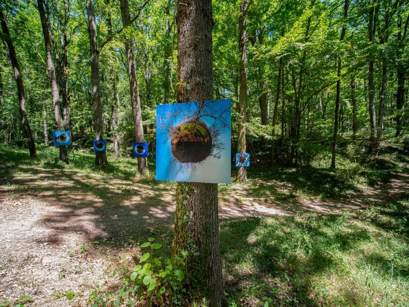 EXPOSITION EN FORÊT. CAMPING NAMASTÉ Puysségur