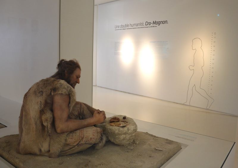 Exposition Futur antérieur Pôle d’interprétation de la Préhistoire Les Eyzies