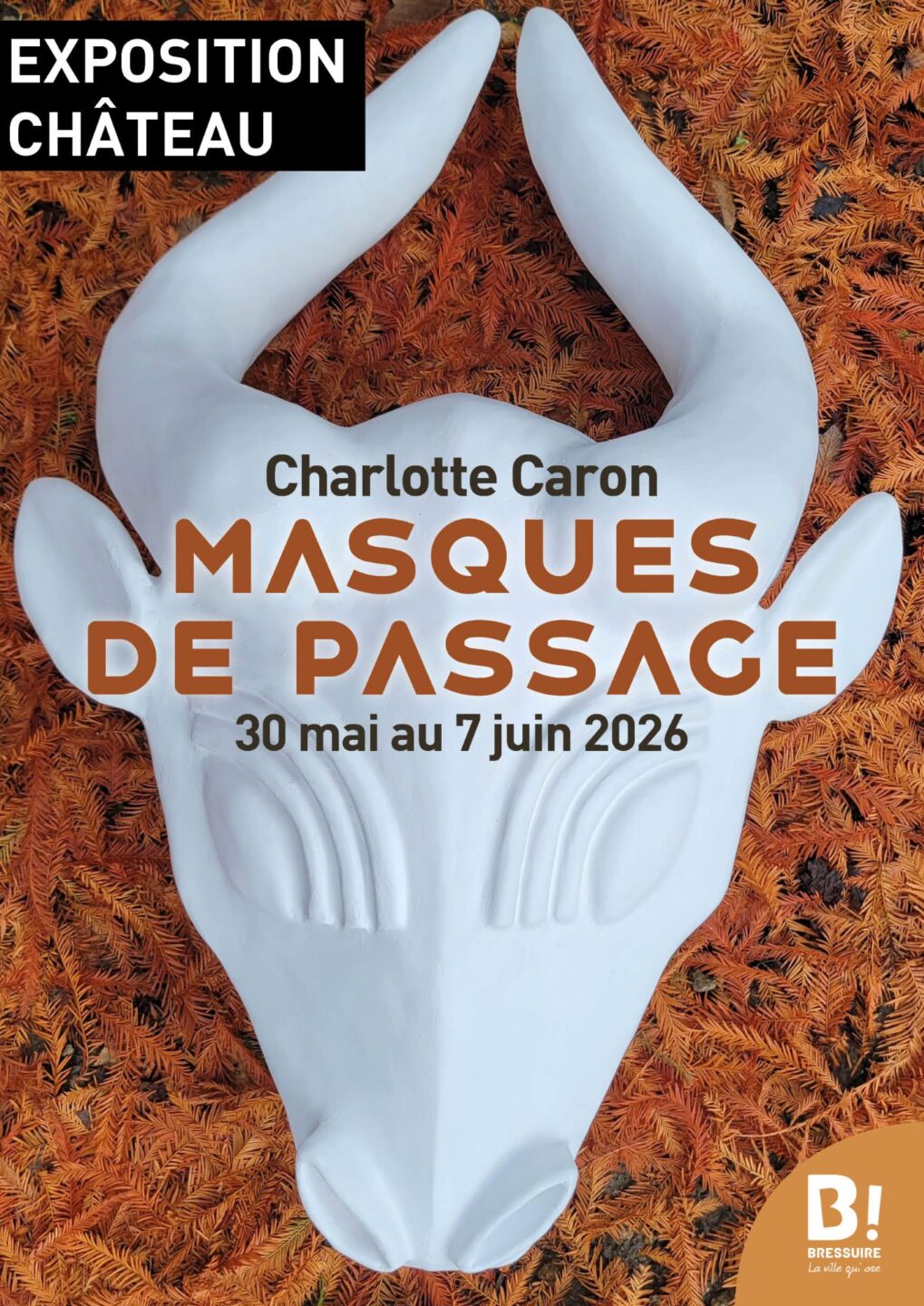 Exposition Masques de passage de Charlotte Caron Rue du Château Bressuire