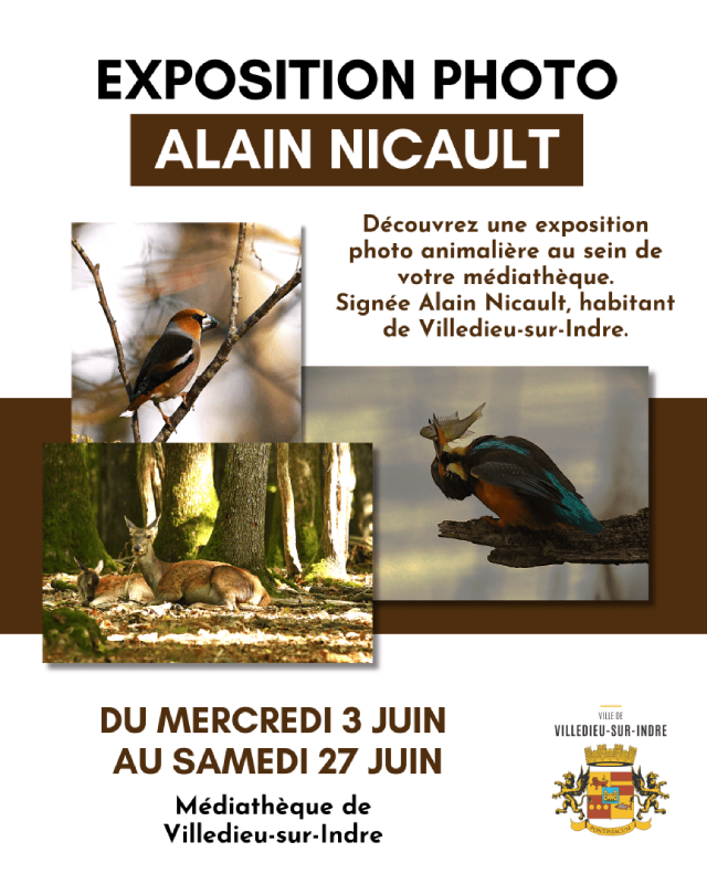 Exposition photo animalière 1 Rue Jean Jaurès Villedieu-sur-Indre 2026-06-03
