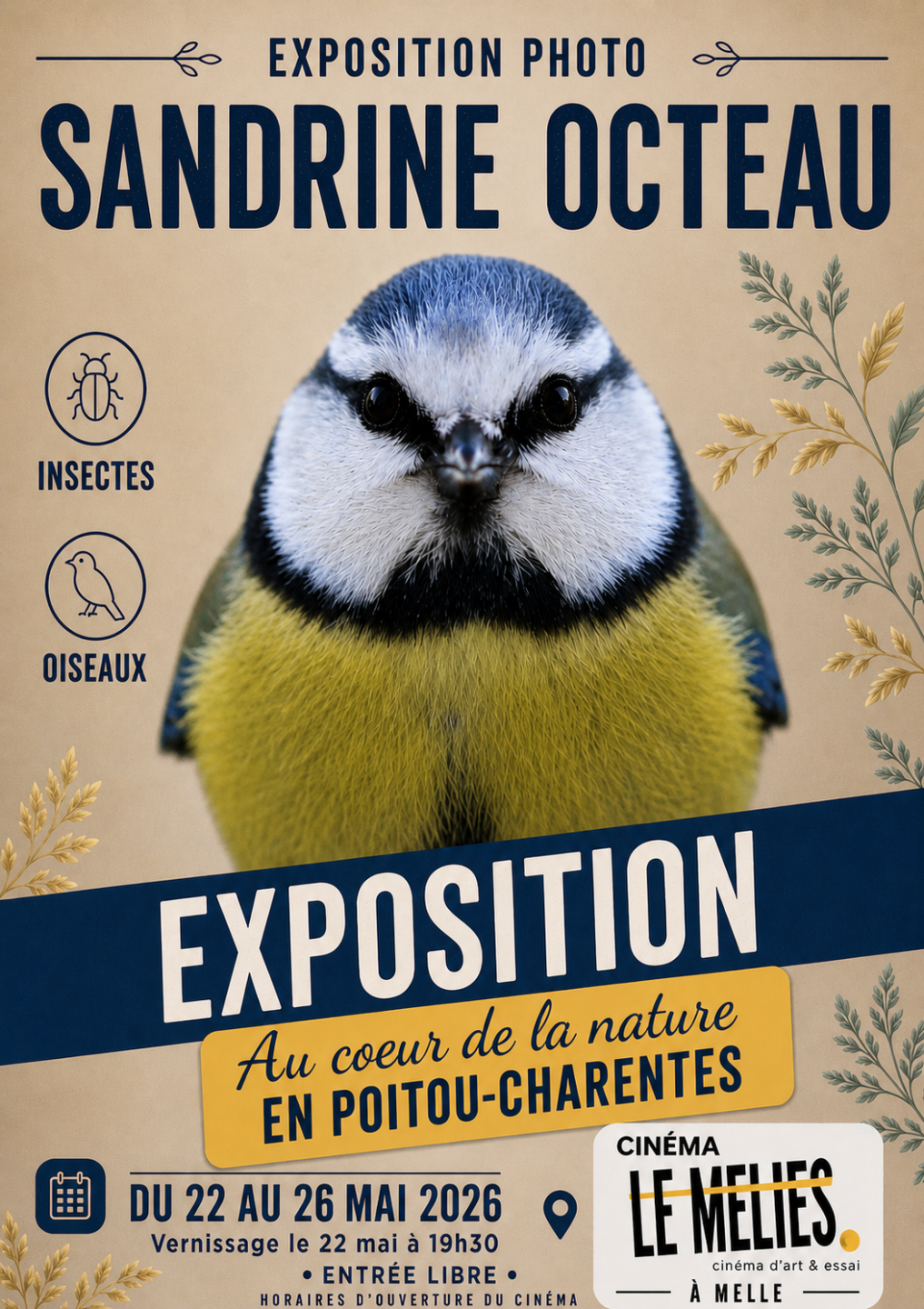 Exposition photo Sandrine Octeau Melle
