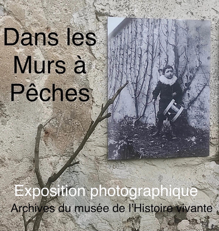 Expositions photographiques – Ru Gobêtue & Archives du musée de l’Histoire vivante, Parcelles de l’association Murs à pêches, Montreuil