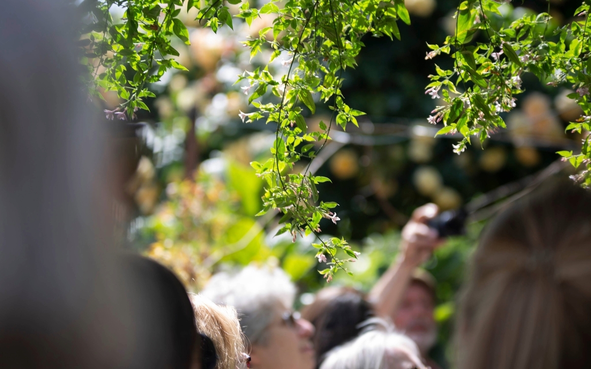 Festival de la nature : l’air dans tous ses états Square Carpeaux PARIS