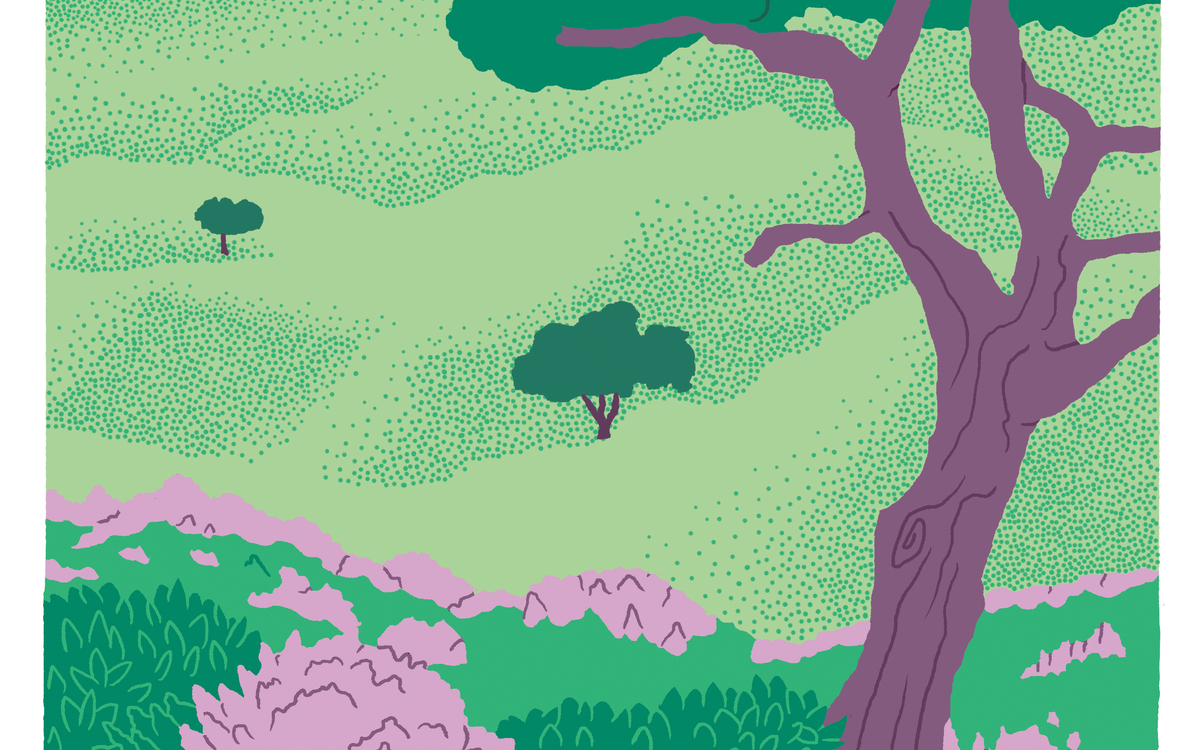 Festival Un Temps pour Elles : SOUS LES ARBRES Château de Vigny Vigny