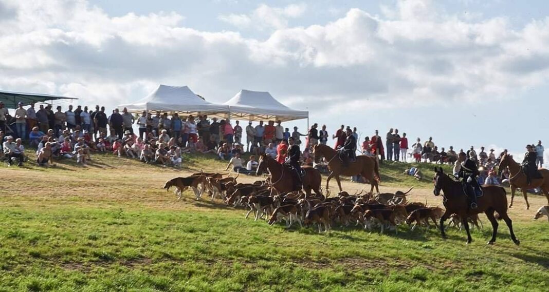 Fête de la Chasse  Bonnat