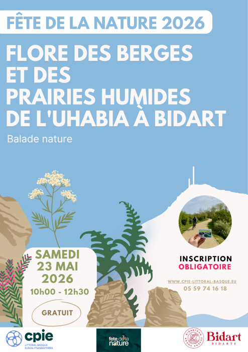 Fête de la nature Flores des berges et des prairies humides de l’Uhabia à Bidart Bidart