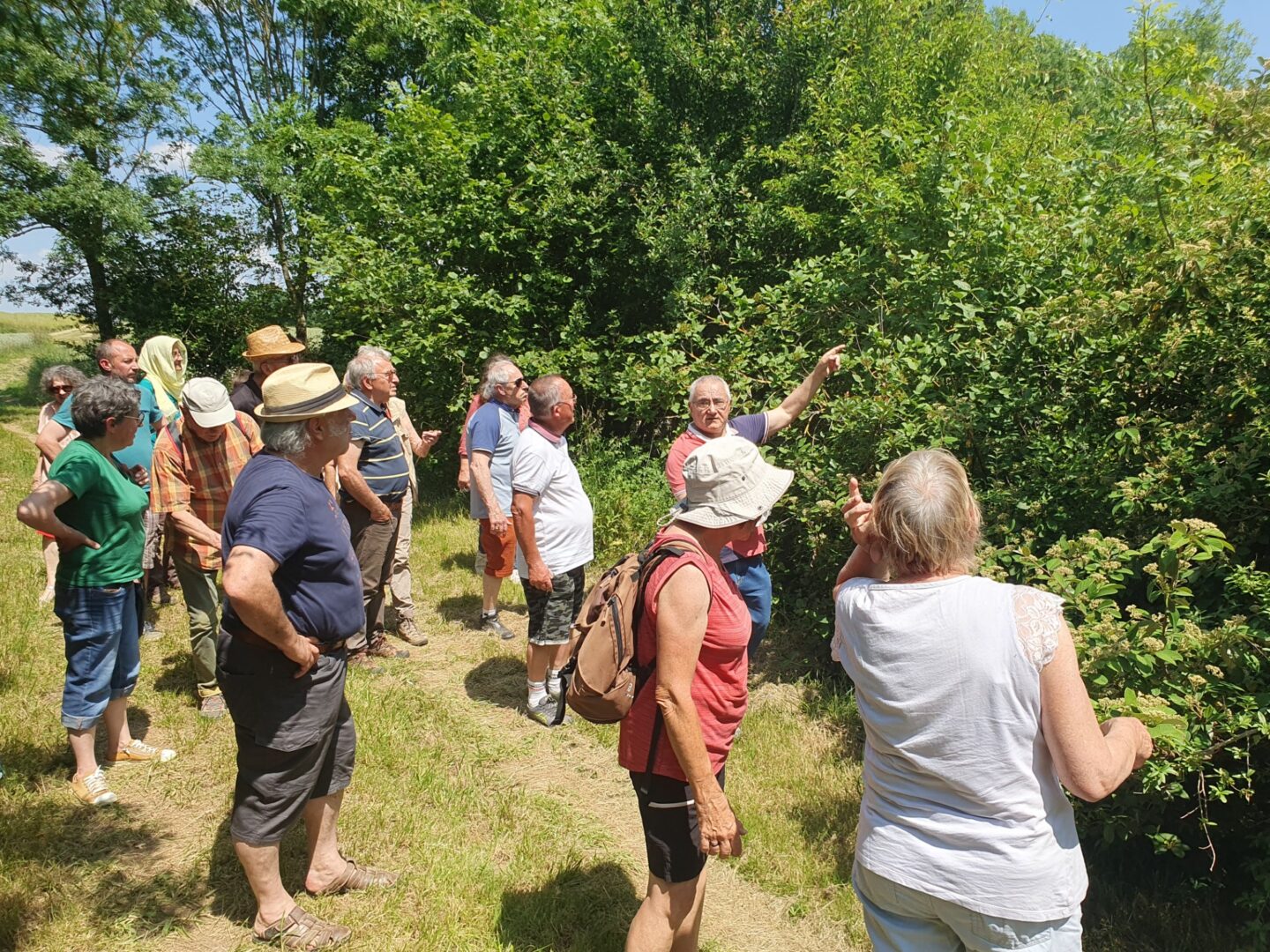 Fête de la Nature visite guidée Génèse d’une forêt Augé