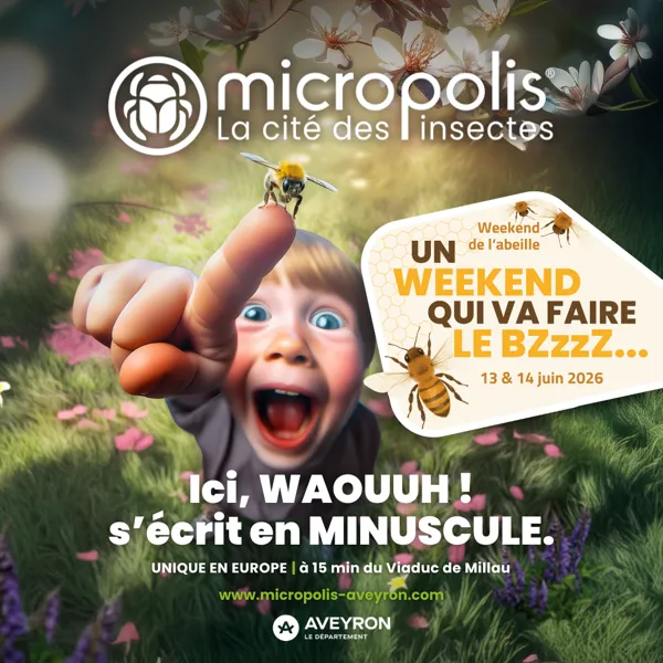 Fête de l'Abeille Micropolis 268 route de Micropolis Saint-Léons 2026-06-13
