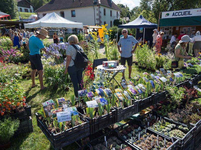 Fête des plantes Sapois