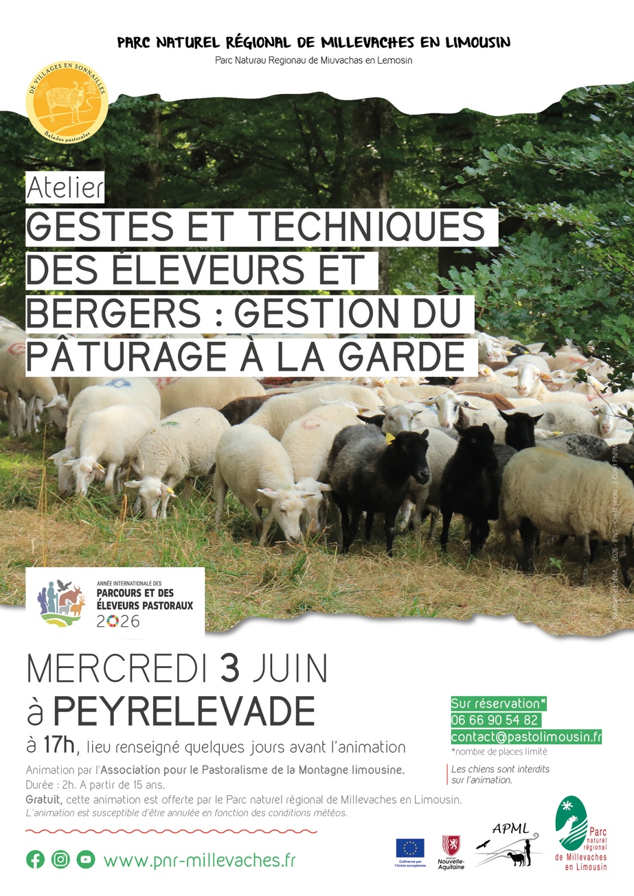 Gestes et techniques des éleveurs et bergers gestion du pâturage à la garde Peyrelevade